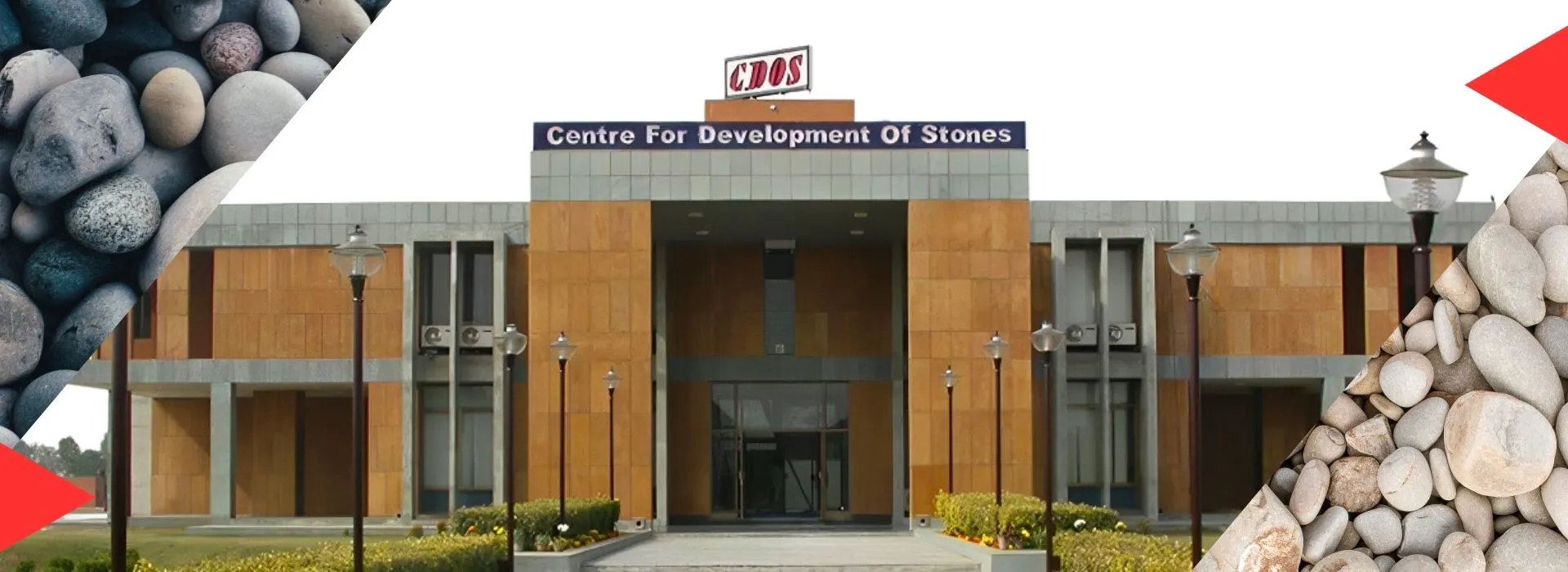 Centre for Development of Stone